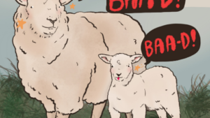 a cartoon drawing of a mother sheep and baby sheep standing in a field on a sunny day. The mother sheep has a speech bubble that says “Fake clinics are BAA-D!” and the baby sheep has a speech bubble that says “BAA-D”